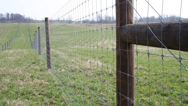 tvoros sistemos elnių fermų statyba visapusiškas aptvėrimas dideliems plotams Lenkija